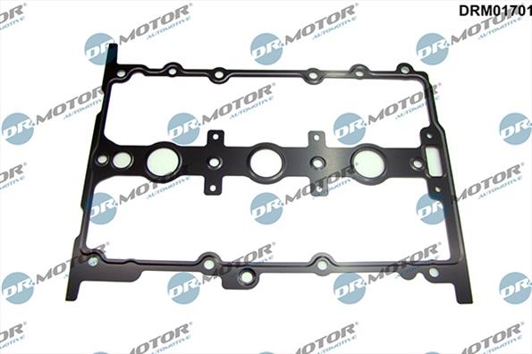 Gaskets DRM01701