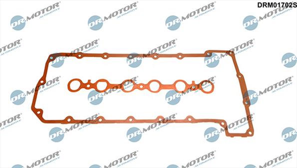 Gaskets DRM01702S