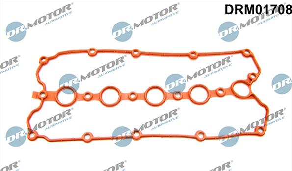 Gaskets DRM01708