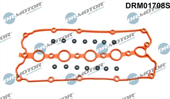 Gaskets DRM01708S