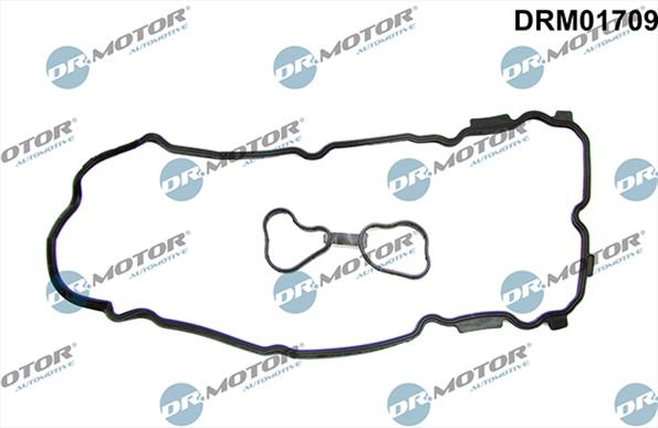 Gaskets DRM01709