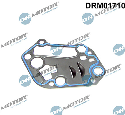 Gaskets DRM01710