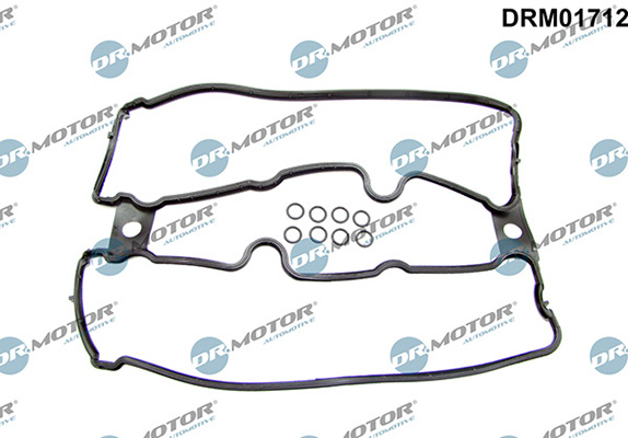 Gaskets DRM01712