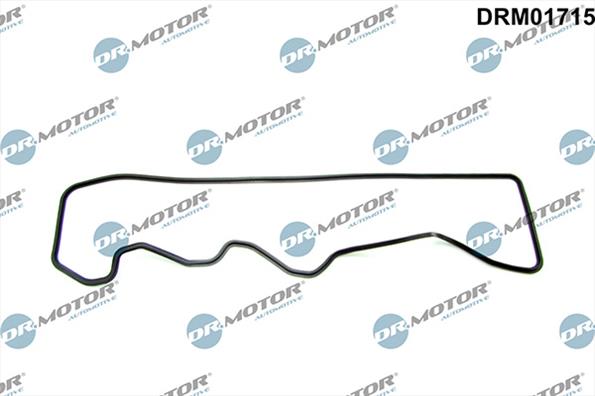 Gaskets DRM01715