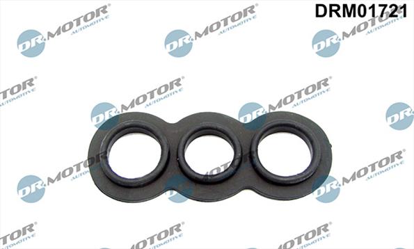 Gaskets DRM01721