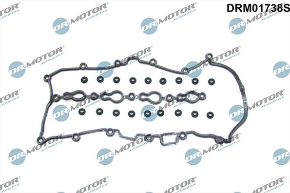 Gaskets DRM01738S