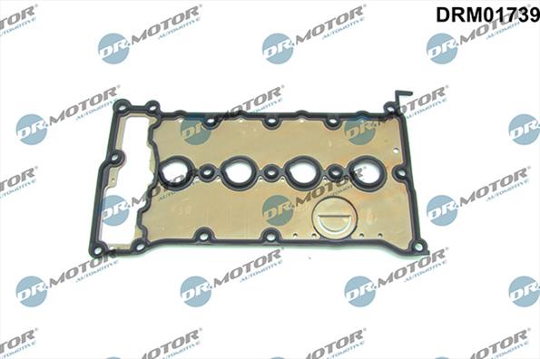 Gaskets DRM01739