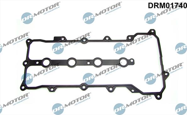 Gaskets DRM01740