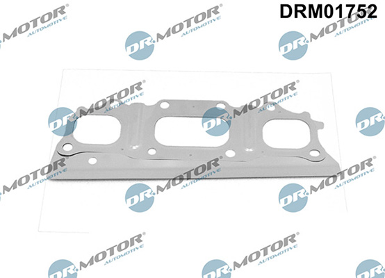 Dichtungen DRM01752