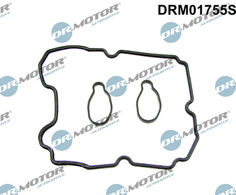 Gaskets DRM01755S