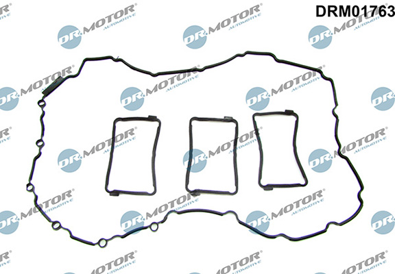 Gaskets DRM01763