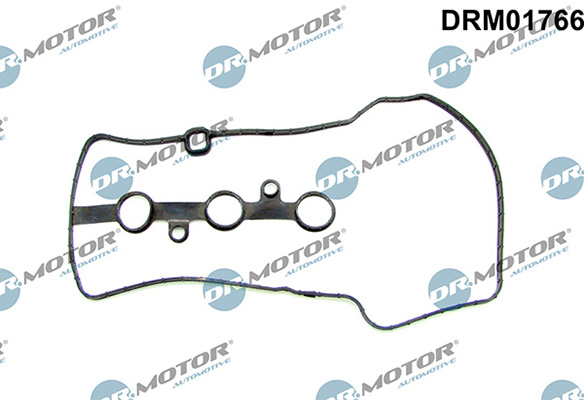 Gaskets DRM01766