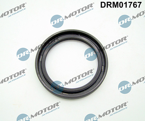 Gaskets DRM01767