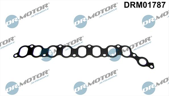 Gaskets DRM01787