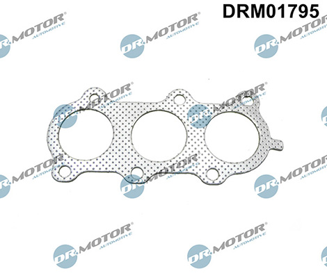 Gaskets DRM01795