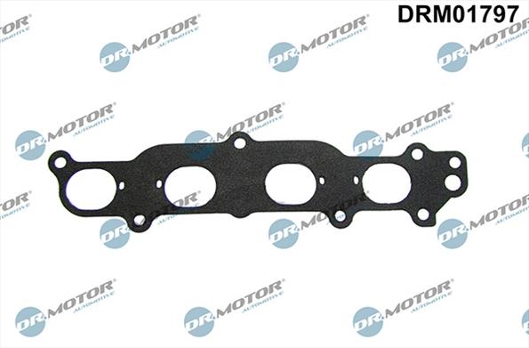 Gaskets DRM01797