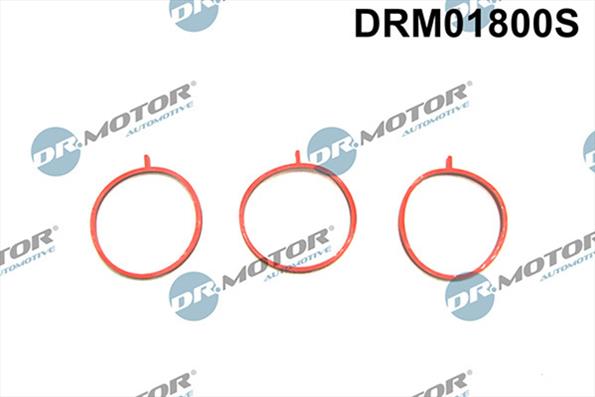 Gaskets DRM01800S