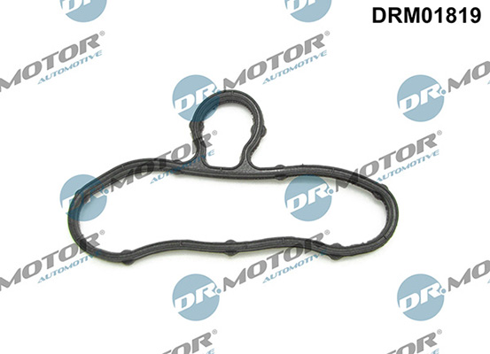 Gaskets DRM01819