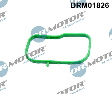 Gaskets DRM01826