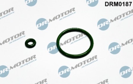 Gaskets DRM0187