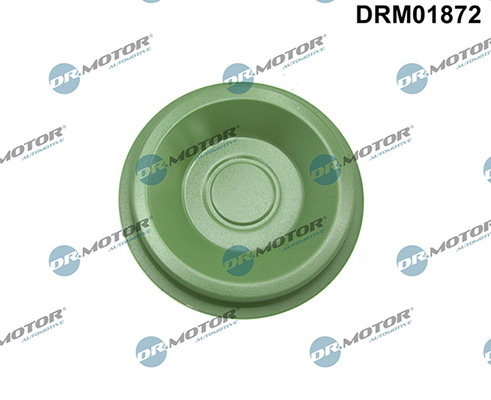 Motor DRM01872