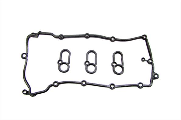 Gaskets DRM01881S