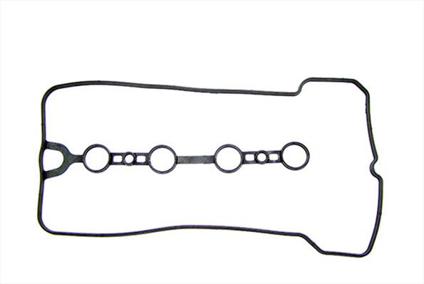 Gaskets DRM01883