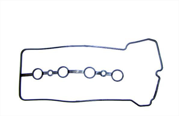 Gaskets DRM01890