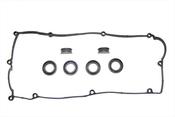 Gaskets DRM01893S