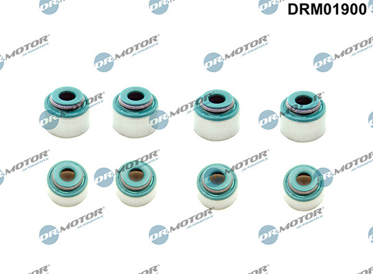 Gaskets DRM01900