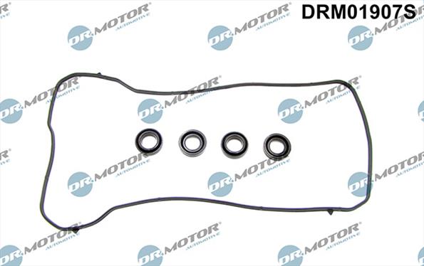 Gaskets DRM01907S