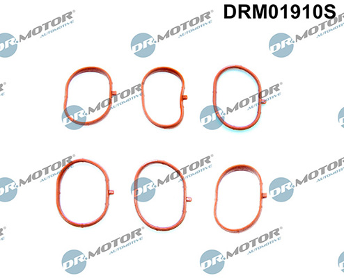 Gaskets DRM01910S