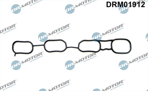 Gaskets DRM01912