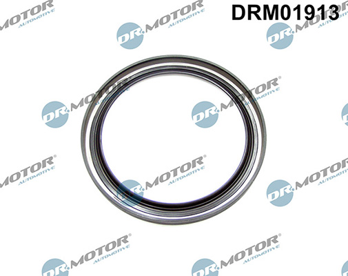 Gaskets DRM01913