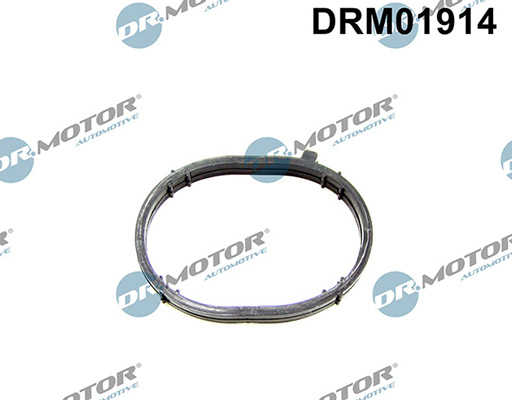 Gaskets DRM01914