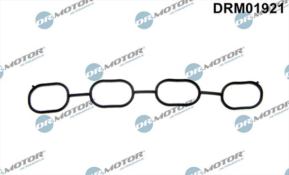 Gaskets DRM01921