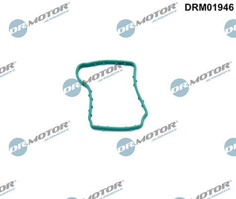 Gaskets DRM01946