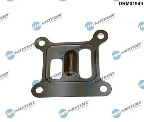 Gaskets DRM01949