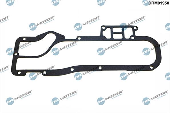 Gaskets DRM01950