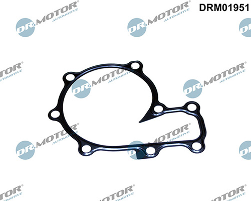 Gaskets DRM01951