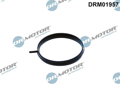 Gaskets DRM01957