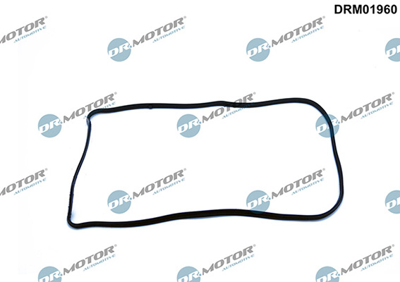 Gaskets DRM01960