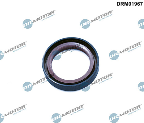 Gaskets DRM01967