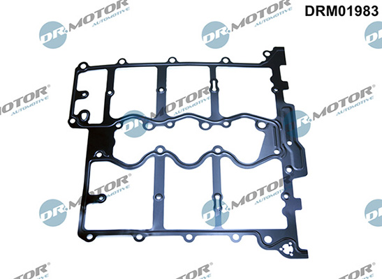 Gaskets DRM01983