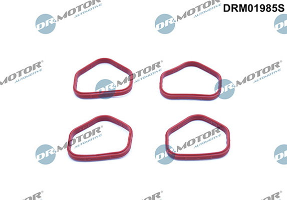 Gaskets DRM01985S