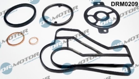 Gaskets DRM0209