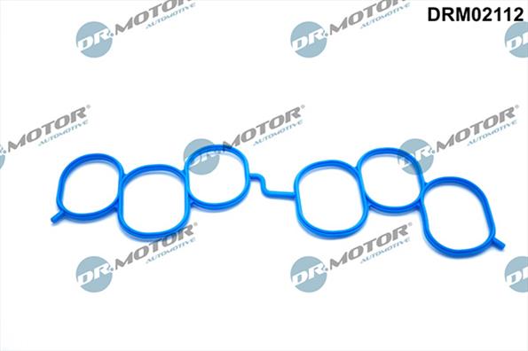 Gaskets DRM02112