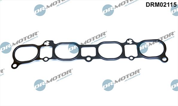 Gaskets DRM02115