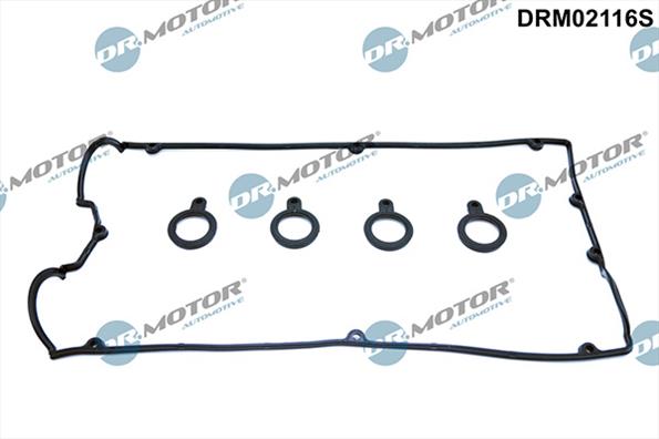 Gaskets DRM02116S