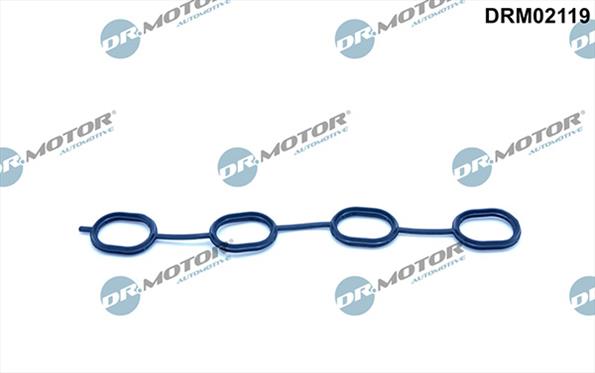 Gaskets DRM02119